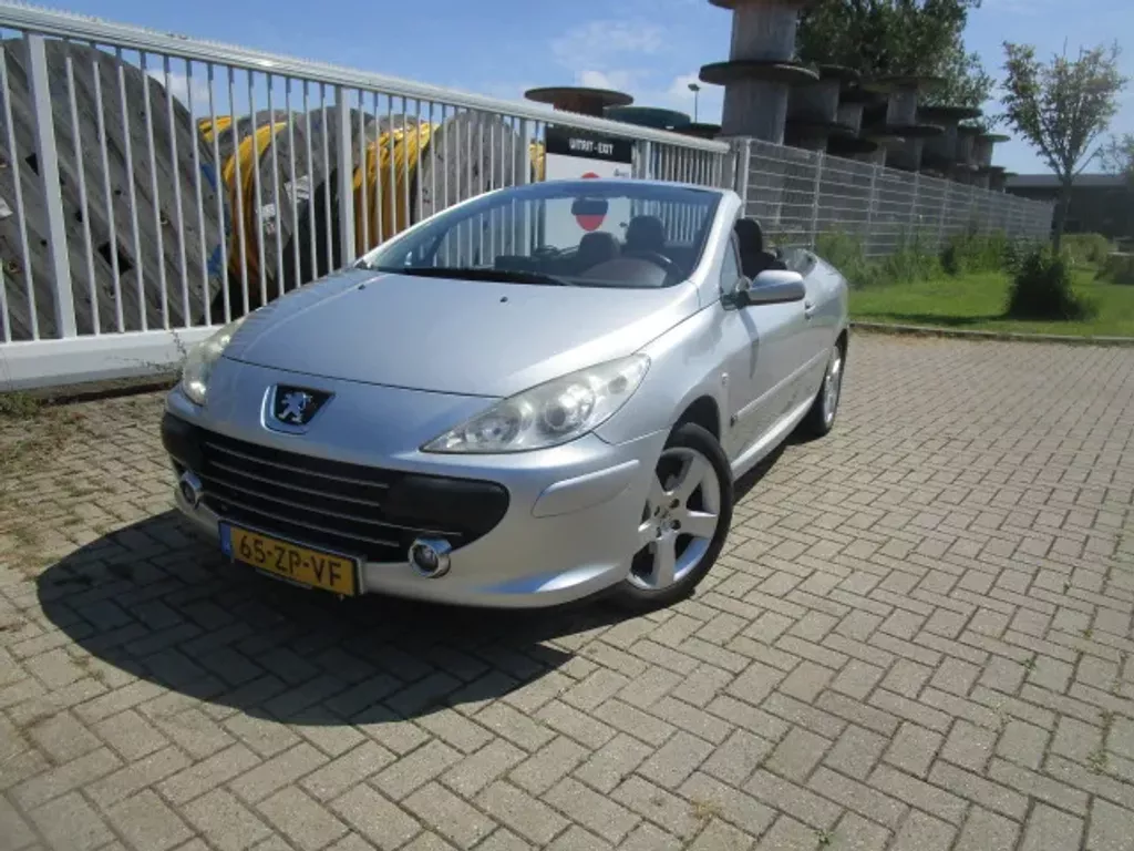 Peugeot 307 CC 2.0-16V , Leer